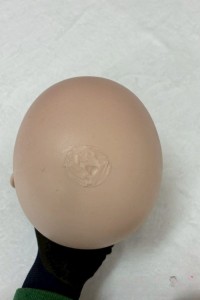 新古品 即納 未使用品 157cm ブランド不明品 綺麗 シリコンヘッド+TPEボディ ラブドール ダッチワイフ 安い 中古