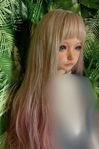 Aランク 中古ドール SHEDOLL ヘッド単品 ウィッグ付き シリコン ラブドール ダッチワイフ 安い