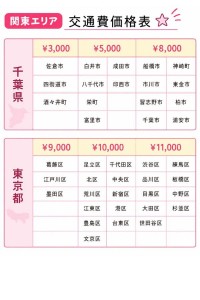ラブドール出張里帰り ドール処分 スタッフ回収サービス